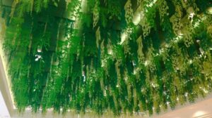 Allestimenti-D4016E3F-9306-463E-86Ef-497Ed7E34B47-Leodari-Pubblicita-Vicenza