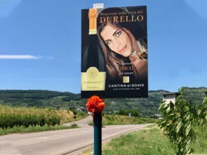 Cartelli-Stradali-Durello-Leodari-Pubblicita-Vicenza