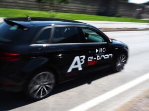 Decorazioni-Stampe-Audia3-Leodari-Pubblicita-Vicenza