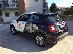 Decorazioni-Stampe-Pneus-Palladio-Leodari-Pubblicita-Vicenza